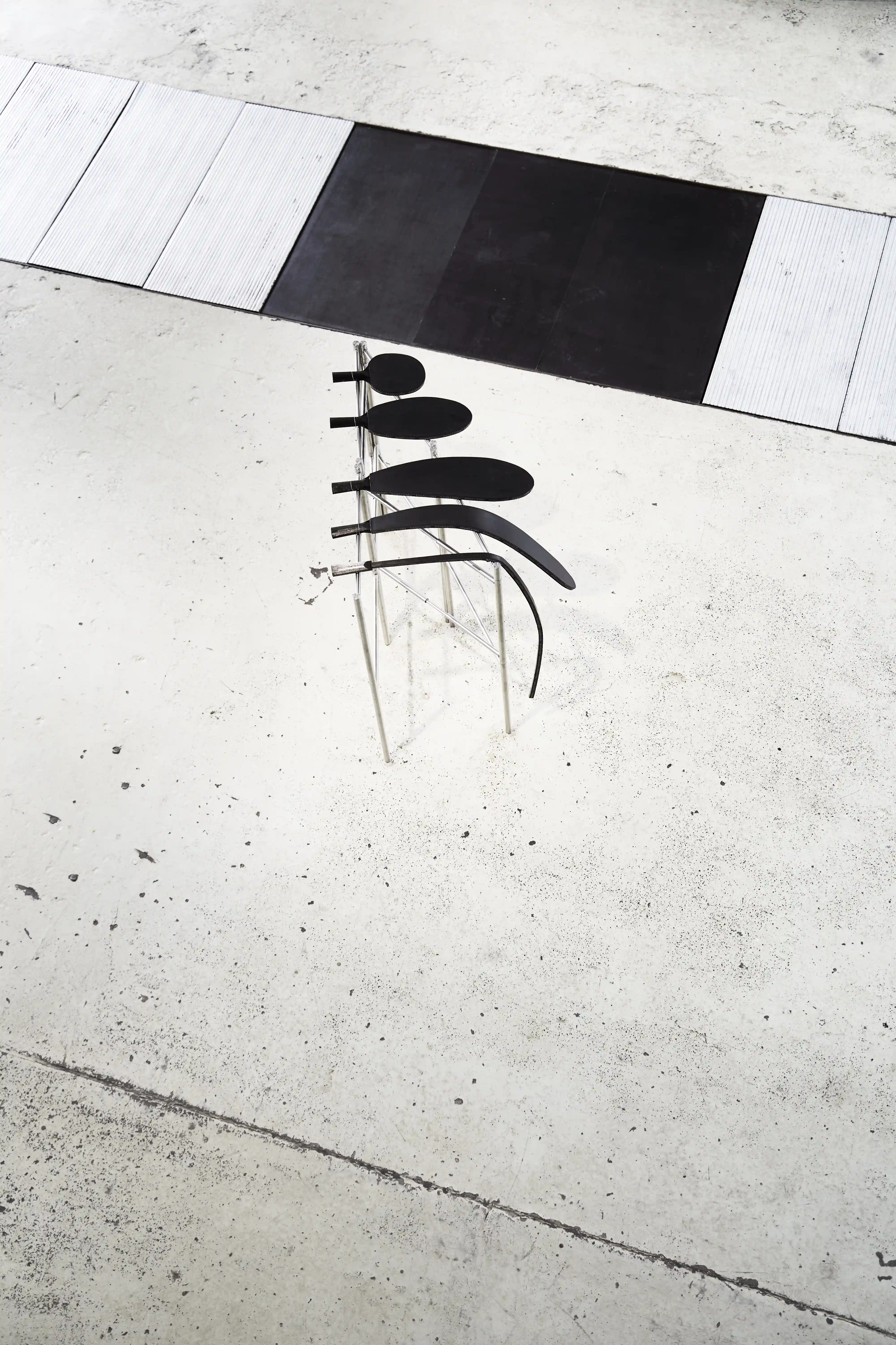 Ausstellungsansicht der Arbeit Domination Evolution von Daniel Theiler, Sept., 2024